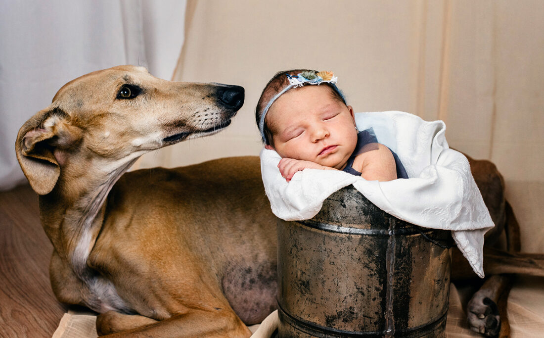 newborn-bebe-recien-nacido-huesca-muerdelaespina-fotos-sesion-estudio-fotografia (15)